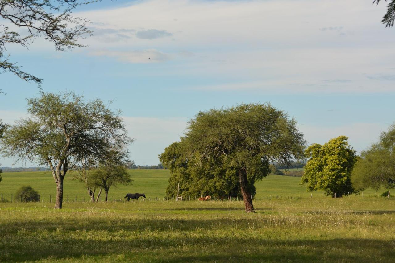 Estancia El Cangue Porvenir Kültér fotó