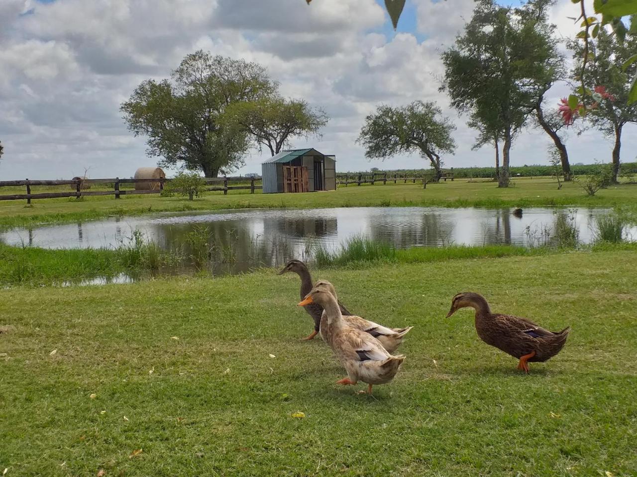 Estancia El Cangue Porvenir Kültér fotó